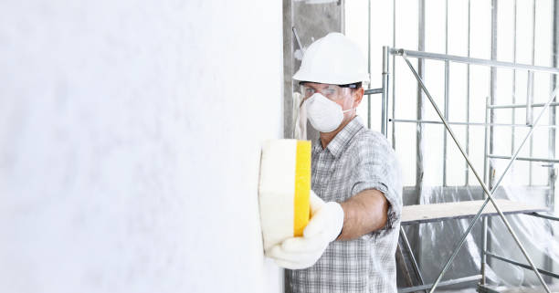 Mold Remediation for Rental Properties in Mulberry, AR