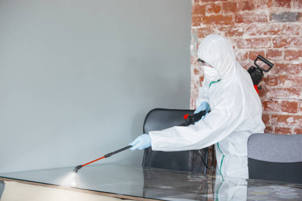 Professional Mold Inspection in Mulberry, AR